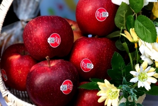 Bạn có tin mỗi ngày ăn một quả táo đỏ sẽ mang đến những lợi ích này?